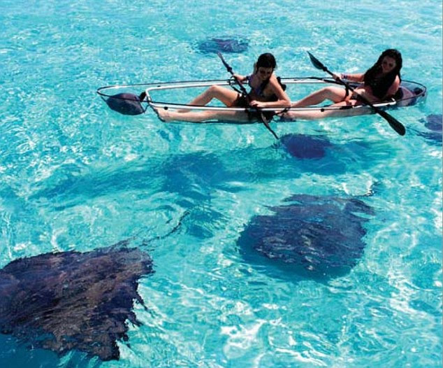 Great views: Paddlers can enjoy views of up to 75 feet below the surface of the water in the kayaks