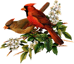 Birds-glitter-cardinals