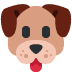 Dog face