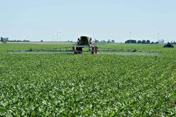 Precios de fertilizantes caen un 30% tras la destrucción de la demanda