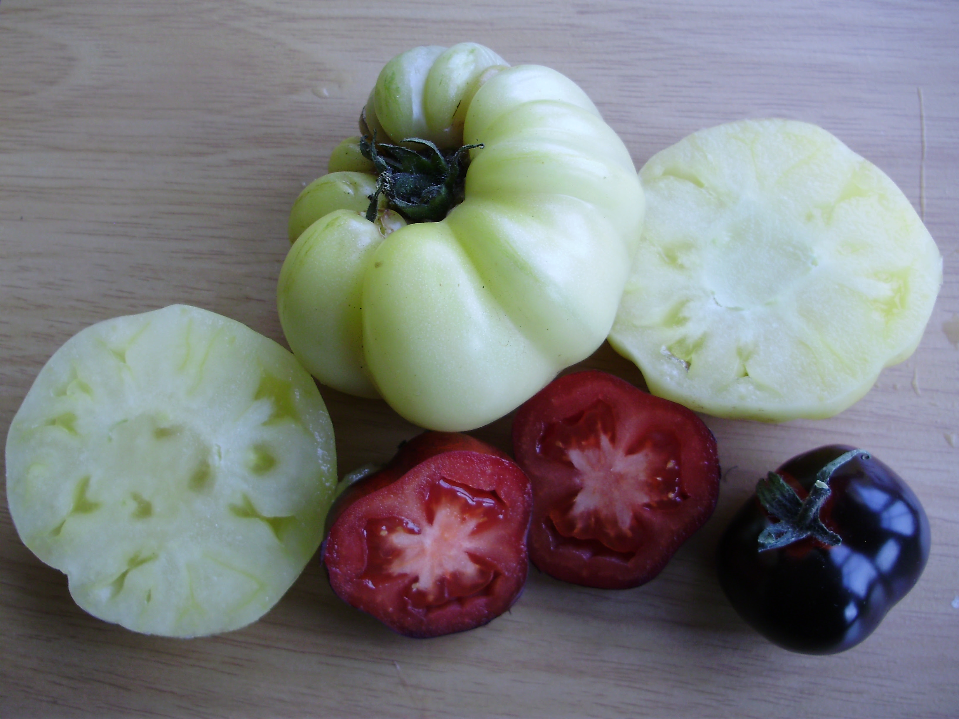 'Ebony and Ivory' - the contrasting colours of tomatoes Indigo Rose & White Queen