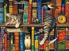 Cat-in-Bookshelf