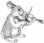 lapin violon.jpg