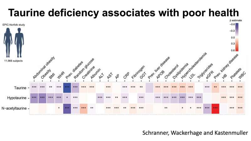 Taurine may be a key to longer and healthier life