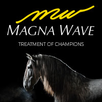 Magna Wave