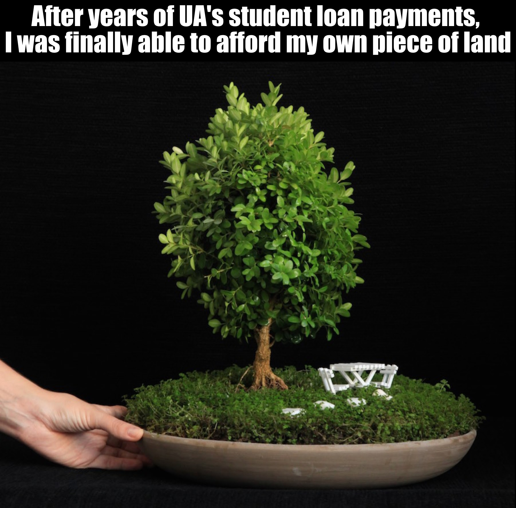 Image of a tree with the message "after years of UA's student loan payments, I was finally able to afford my own piece of land"