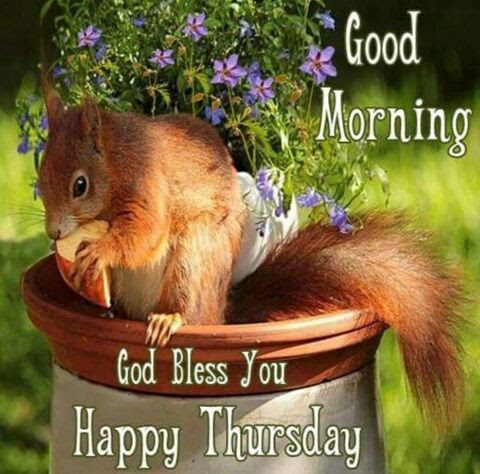 Thursday-Squirrel-GM-God-Bless-You