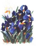 Blue Iris Garden - Posted on Saturday, December 13, 2014 by Pamela Gatens