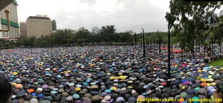 Hong kong crisis-11 Hong kong crisis-11