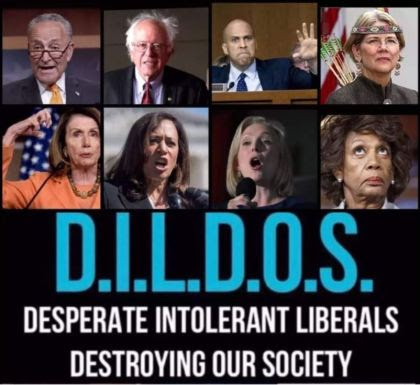 dildos democrats