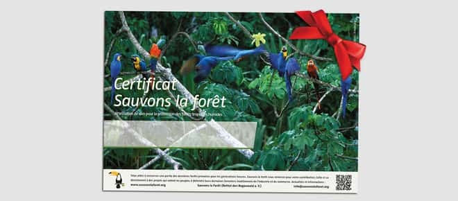 Certificat de don de Sauvons la forêt - Motif perroquets