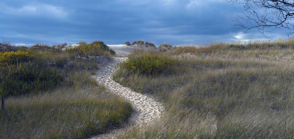 A well-traveled path is shown over the beach dunes at Ludington.