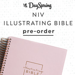 NIV Illustrating Bible - Pink
