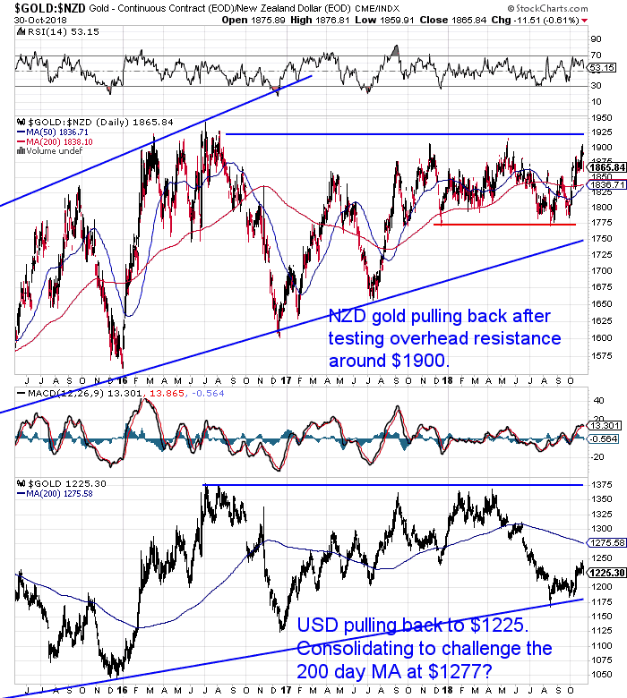 NZ Dollar Gold Chart