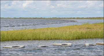 Louisiana draft restoration plan