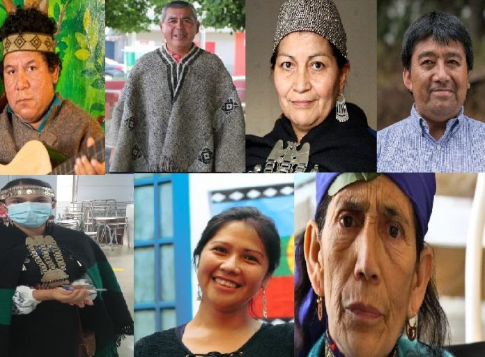 constituyentes mapuche1
