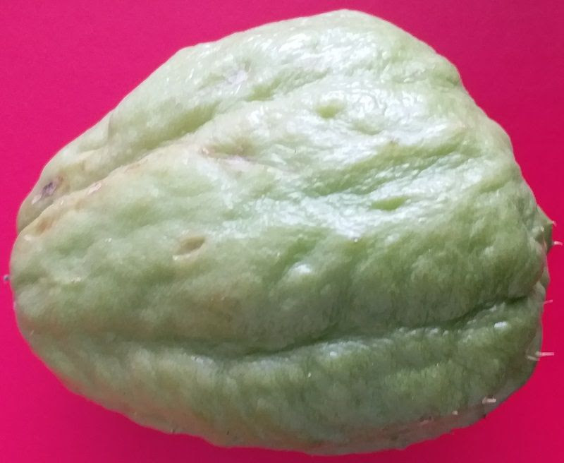 Chayote Sebze