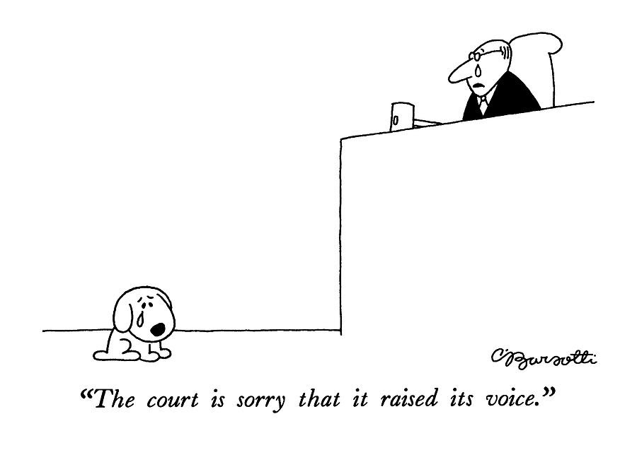 the-court-is-sorry-that-it-raised-its-vo