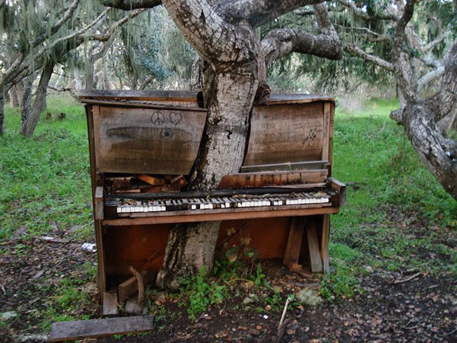 Chủ nhân của chiếc piano quyết định để nguyên khung cảnh này vì tin rằng nó sẽ gửi gắm được nhiều thông điệp tốt đẹp đến loài người