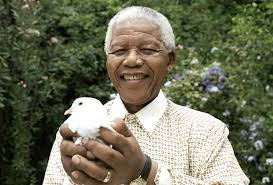 Mandela-paloma