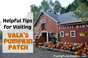 Helpful Tips for Visting Vala's Pumpkin Patch | Family Fun in Omaha