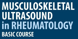 Musculoskeletal ultrasound in rheumatology