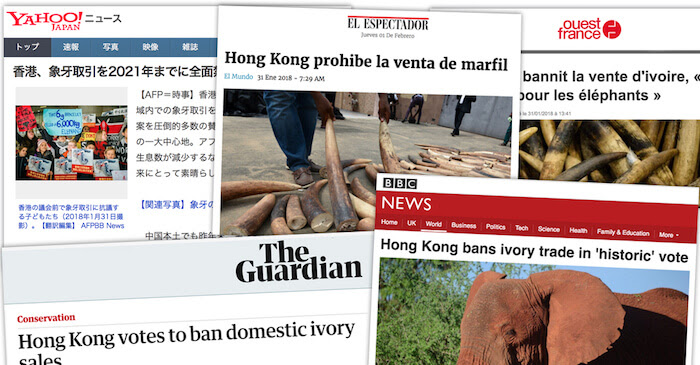 Ivory+Media
