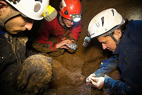 Officials of the Israel Antiquities Authority and members of the Israeli Caving Club search for finds in the cave.