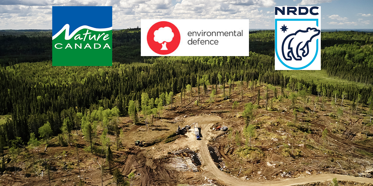 The Logging Loophole