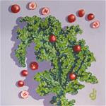 Kale and Cranberries - Posted on Wednesday, November 26, 2014 by Dorothy Jenson