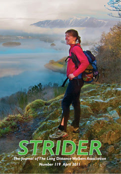 Strider cover Strider cover