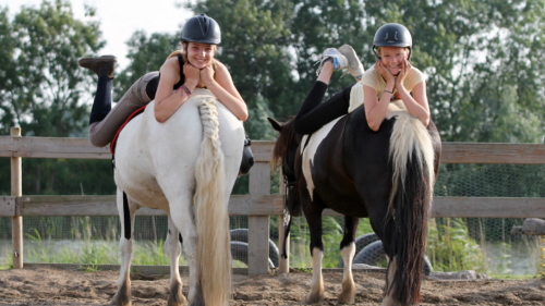 Ponykamp bij Boerderij op IJburg in Amsterdam