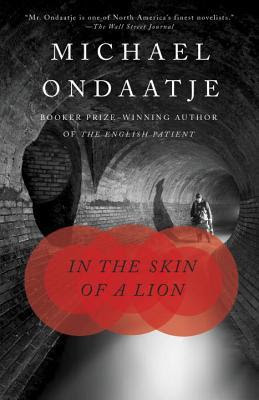In the Skin of a Lion EPUB