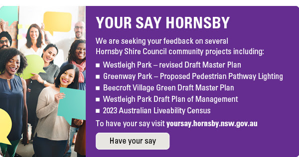 Have Your Say