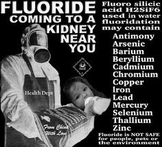 Fluoride kidneys