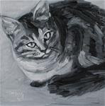 Tabby Value Study - Posted on Wednesday, February 25, 2015 by Stacy Weitz Minch
