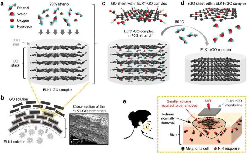 New material for surgical dressings shown to prevent recurrence of melanoma and enhance healing