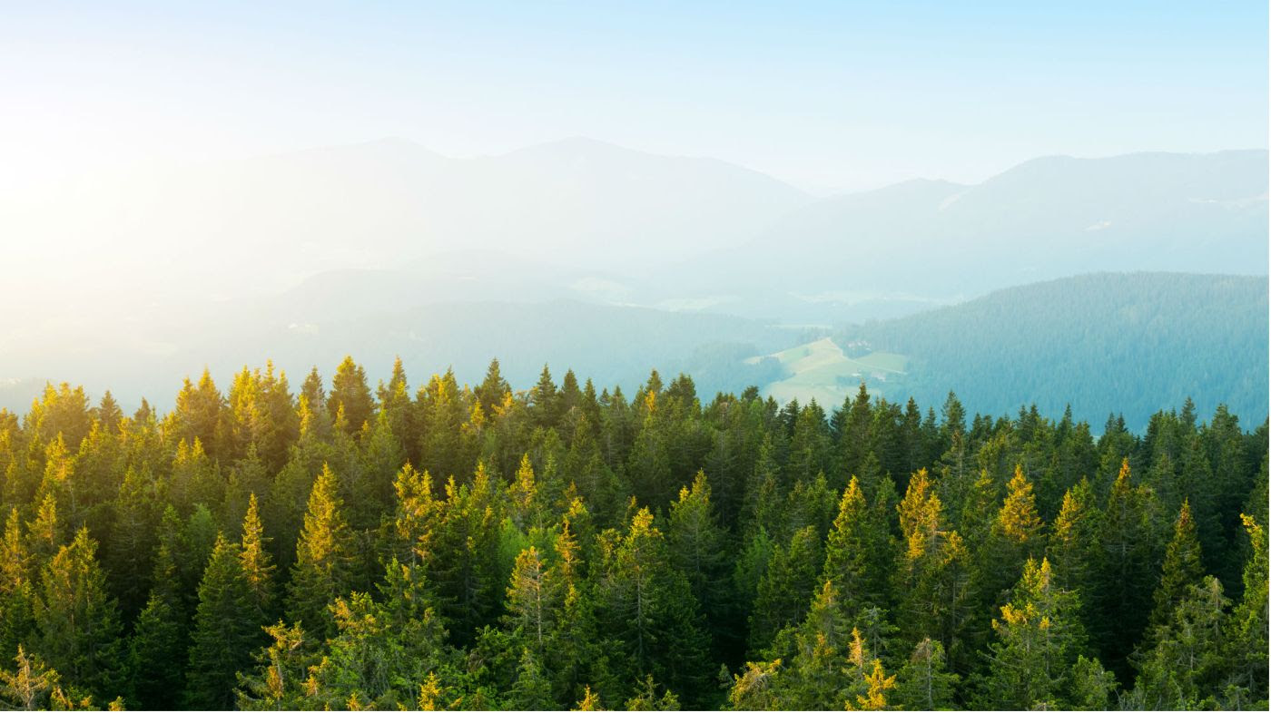Stop Building a Spaceship to Mars and Just Plant Some Damn Trees – Mother Jones