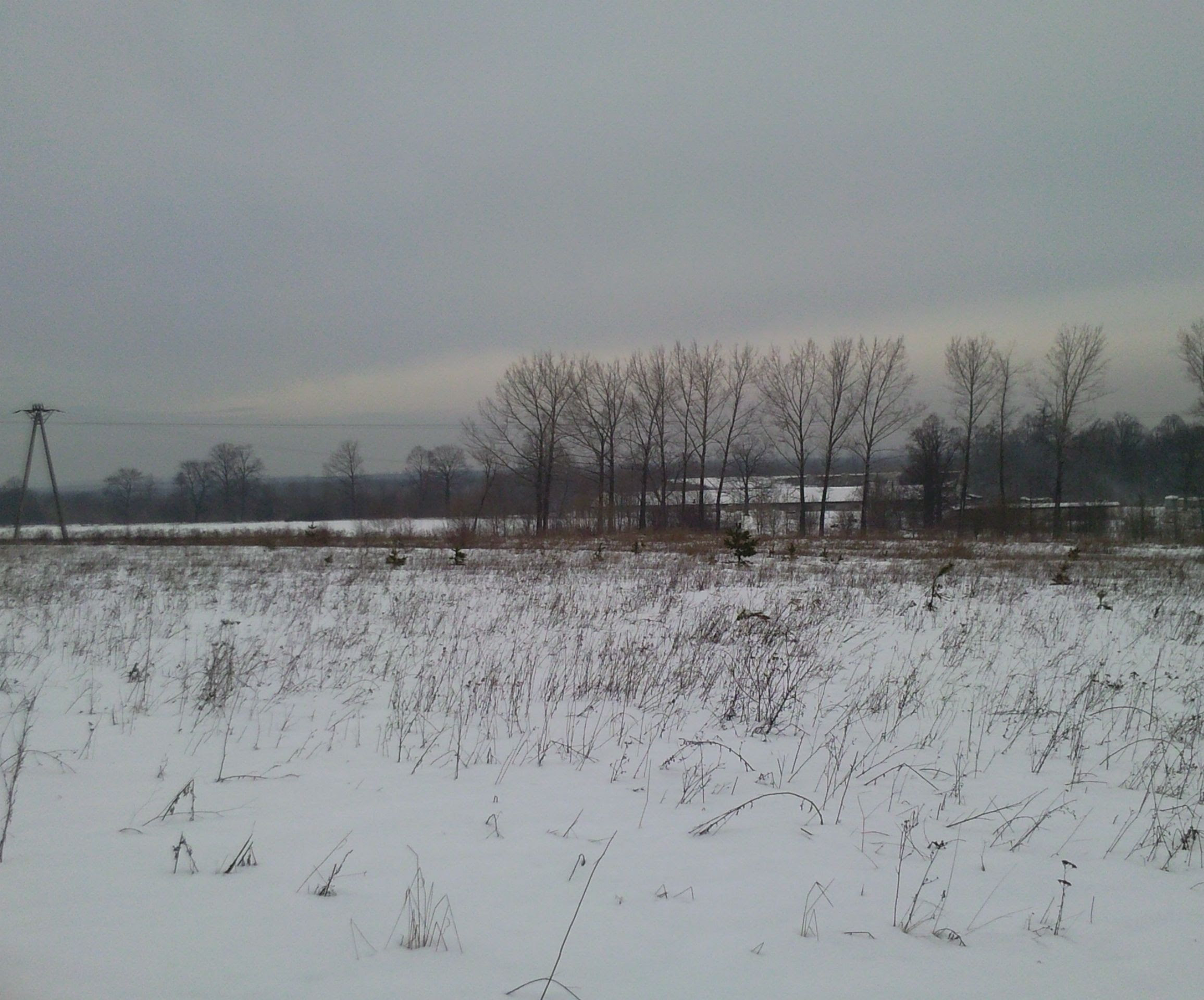 http://upload.wikimedia.org/wikipedia/commons/4/48/The_Zone_24_years_after.jpg
