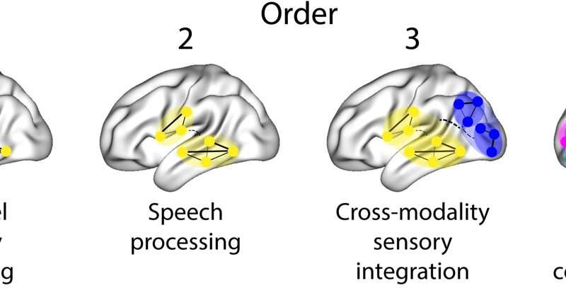 Fractal brain networks support complex thought