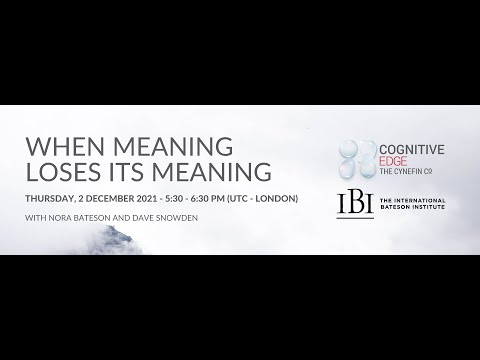 When meaning loses its meaning - a conversation with Nora Bateson &