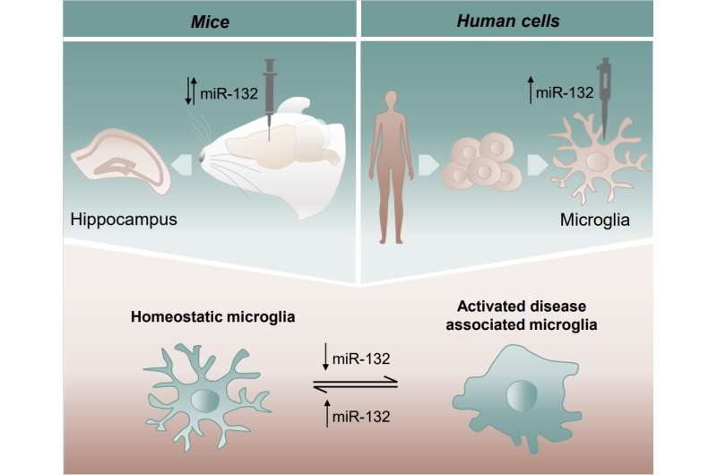 Ultra small molecule as a new target for Alzheimer's disease?