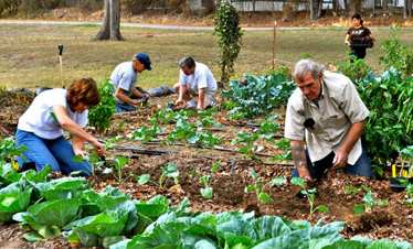 Learn how to start your own community garden on Sunday.