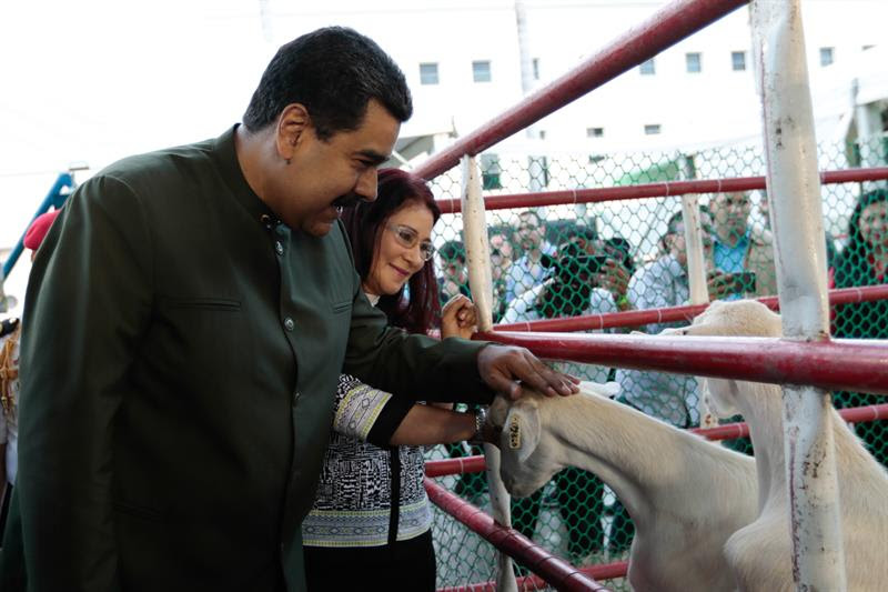 Actuall-NicolasMaduro-FeriaAgricola_080517.jpg