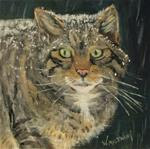 Scottish Wildcat - Posted on Saturday, January 24, 2015 by Wendy Malowany