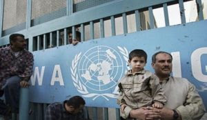 UN agency suspends six staffers for calling for Jews to be murdered