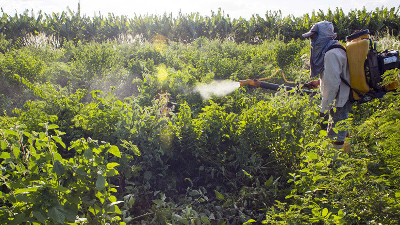 El Gobierno brasileño aprueba el uso de 51 agrotóxicos y bate récord de liberación de pesticidas