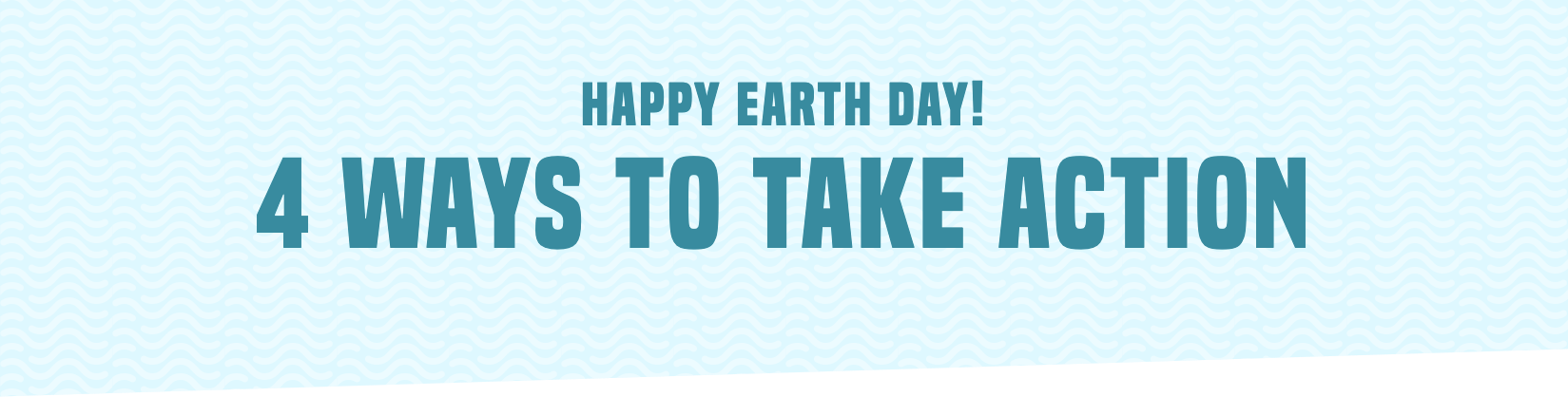 Happy Earth Day! 4 Ways to Take Action