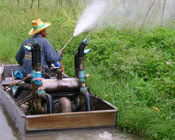 Man riding in boat alongside lush green field of crops sprays crops with pesticide