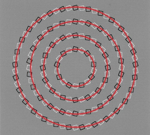 Iluzii optice - patru cercuri marcat
